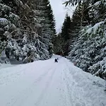U Sjezdovky Chalet