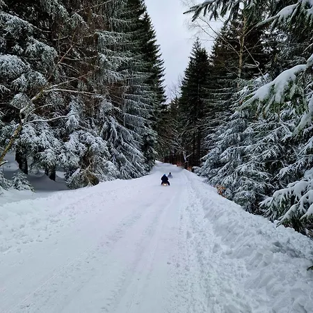 U Sjezdovky Alpesi faház