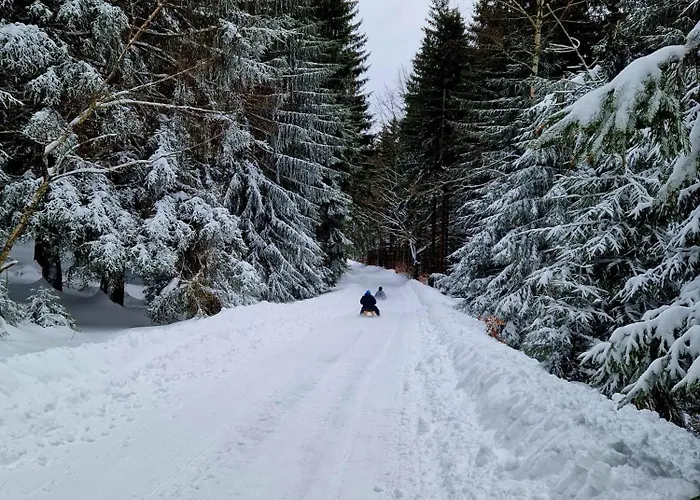 U Sjezdovky Alpstuga