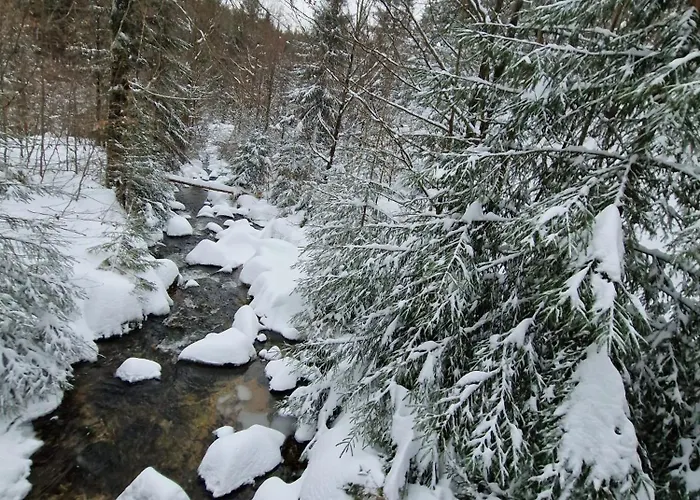 U Sjezdovky Alpstuga